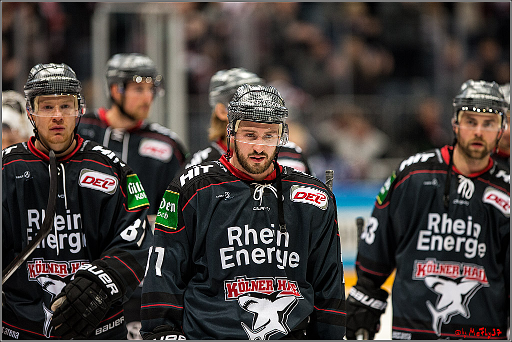Koelner Haie - Eisbaeren Berlin, 13.11.2016